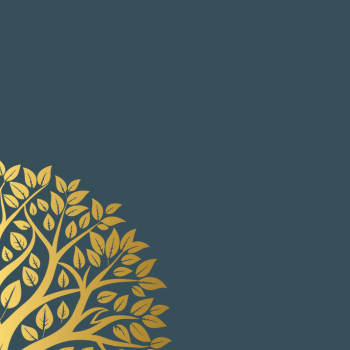 Executive Assessment