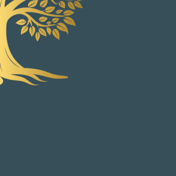 Interim Executive Placement